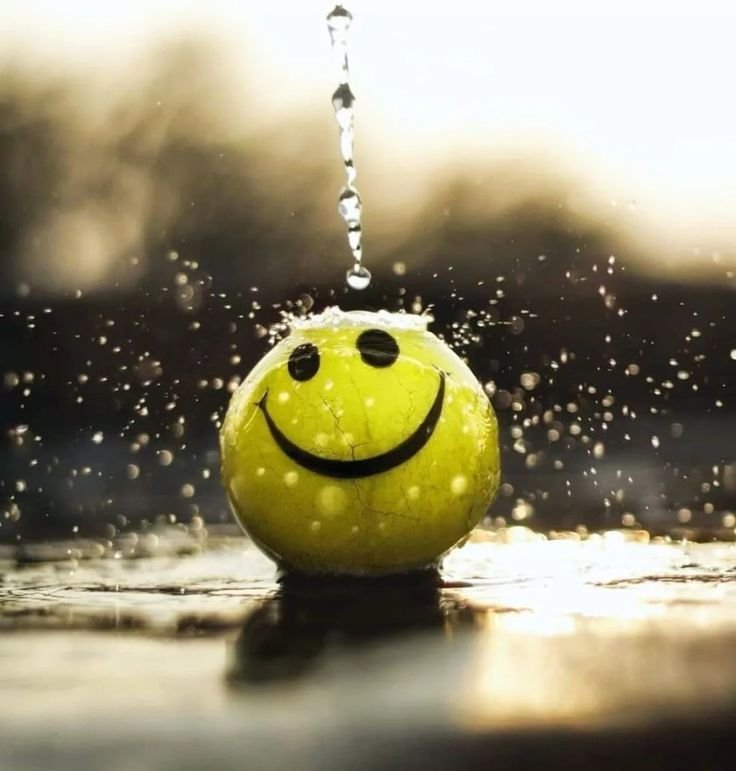 23013d2a9def98e427f22890c88c4c15